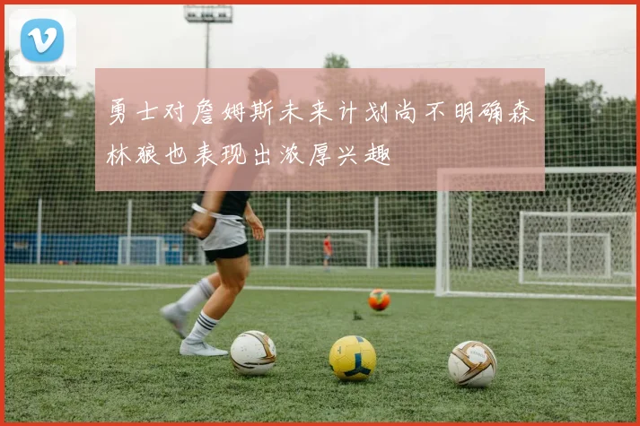 勇士对詹姆斯未来计划尚不明确森林狼也表现出浓厚兴趣