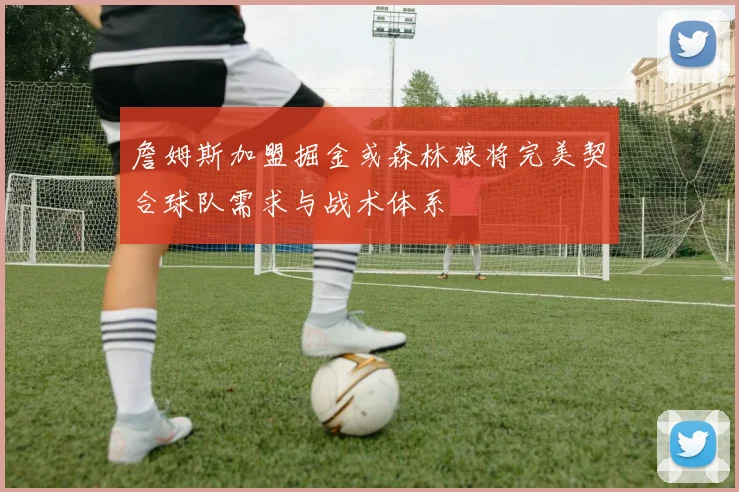 詹姆斯加盟掘金或森林狼将完美契合球队需求与战术体系